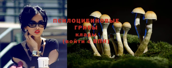 индика Иннополис