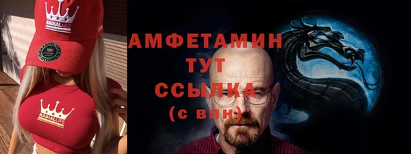 дмт Инсар