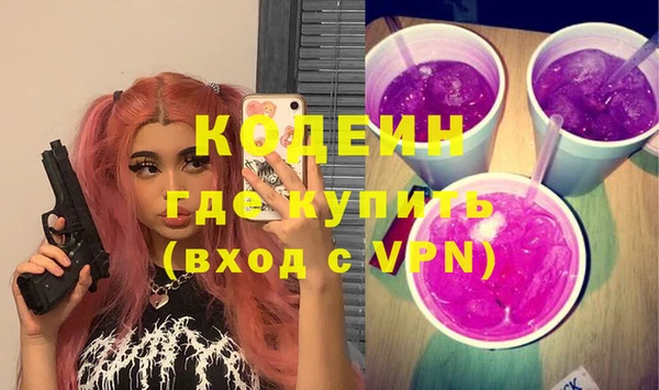 индика Иннополис