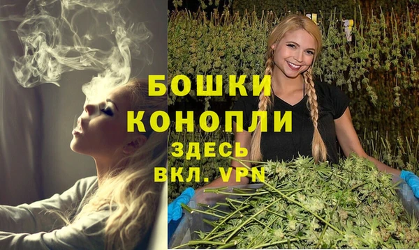 прущий лед Инта