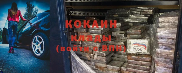 дмт Инсар
