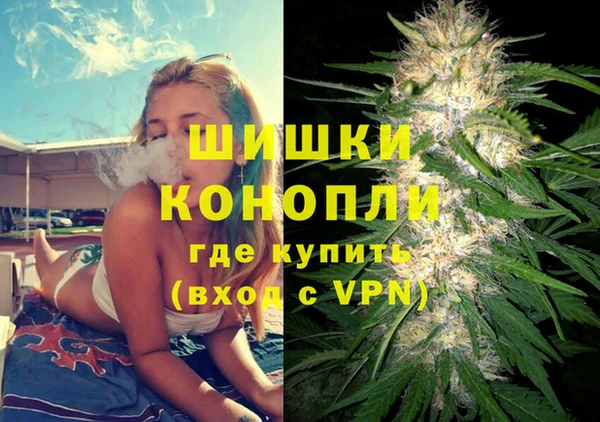 дмт Инсар