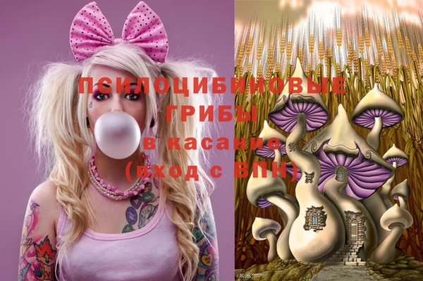 индика Иннополис