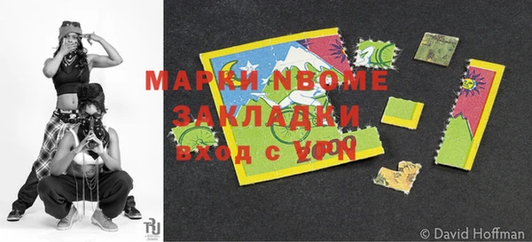 индика Иннополис