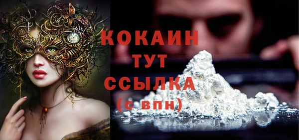 индика Иннополис