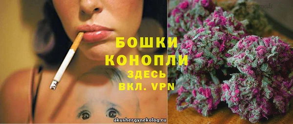 прущий лед Инта